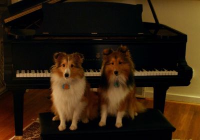 Rob's Steinway.