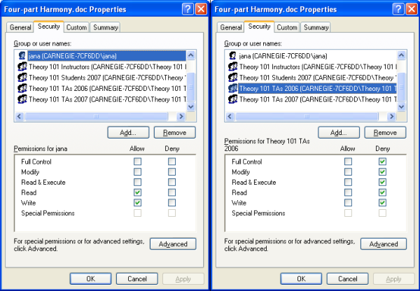 Screenshot of an Expandable Grids
interface for setting NTFS file permissions.